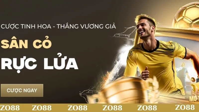Nhà cái hoạt động cá cược trên toàn cầu